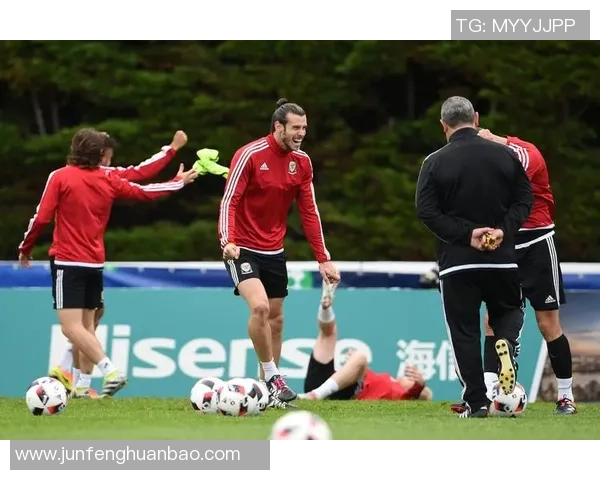 法国与威尔士激战正酣比分揭晓精彩瞬间回顾